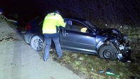 A1, Bargteheide, Unfall, Verletzte, Crash, Bergung, Feuerwehr, Polizei, Tier