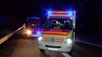 A1, Bargteheide, Unfall, Verletzte, Crash, Bergung, Feuerwehr, Polizei, Tier