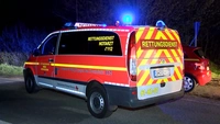 PKL, Neustadt, Unfall, verletzt, schwer, Fahranfänger, Baum, Kollission
