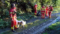 Steinhorst, Suchaktion, Rettungshunde