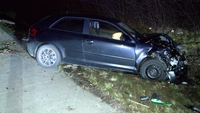 A1, Bargteheide, Unfall, Verletzte, Crash, Bergung, Feuerwehr, Polizei, Tier