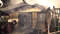 Brandstiftung, Lübeck, Feuer, Gartenlaube, Feuerteufel, Alarm
