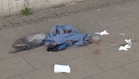 Messerstecherei, Lübeck, ZOB, lebensgefahr, schwer verletzt, Rücken, Bauch, Stich, Messer