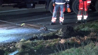 Unfall, LKW, Lübeck, Diesel, Tank, Leck, Sperrung, Feuerwehr, A1, Moisling, Abfahrt