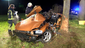 PKL, Neustadt, Unfall, verletzt, schwer, Fahranfänger, Baum, Kollission